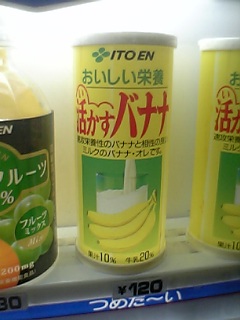 �����ɂ��낢����