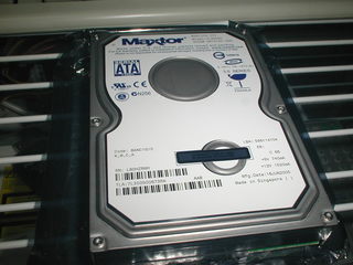 �M����Maxline�V