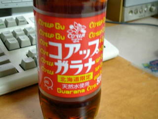 �k�C��������ď����Ă���̂���������