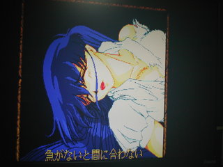 �Ԃɍ���Ȃ������p�����Ă݂����Ƃ����A�n���̃A�z�E�҂���������������